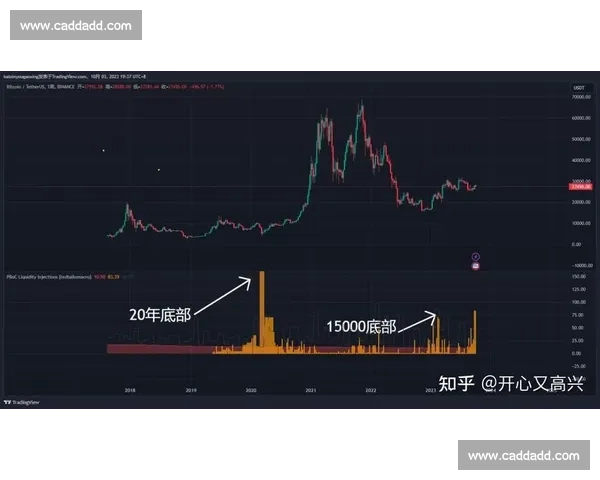 比特币的未来发展趋势与市场影响力分析及其在全球经济中的作用